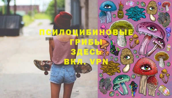 Альфа ПВП Арсеньев