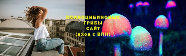Альфа ПВП Арсеньев