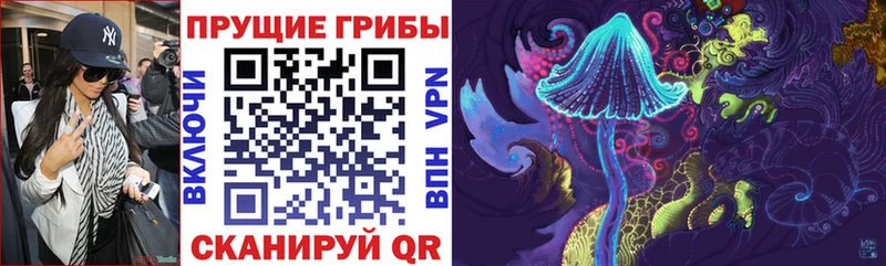 Купить где  Мелеуз  Галлюциногенные грибы ЛСД 